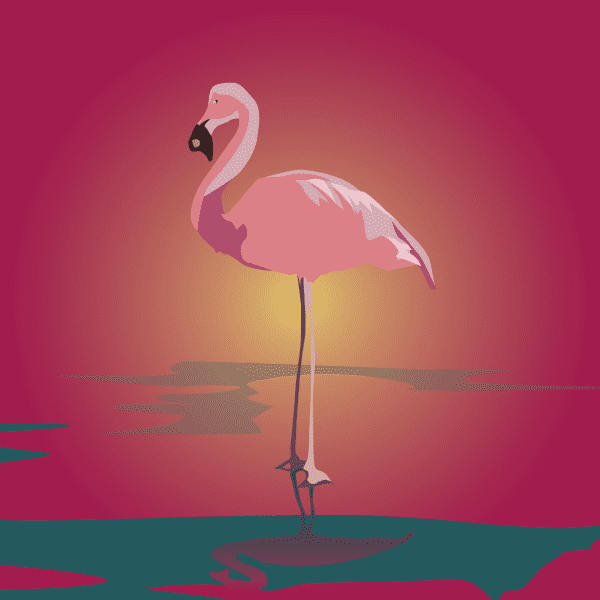 Flamingo - Image 2