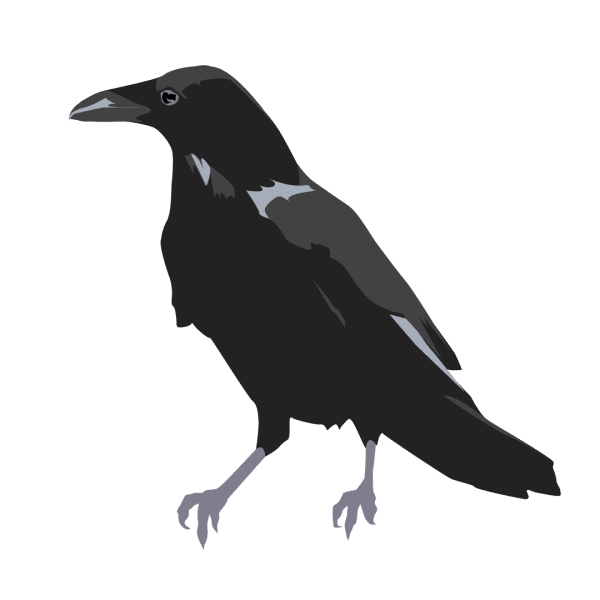 Raven