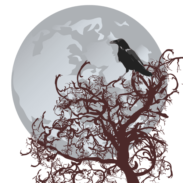Raven - Image 3