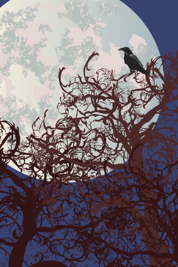 Raven - Image 2