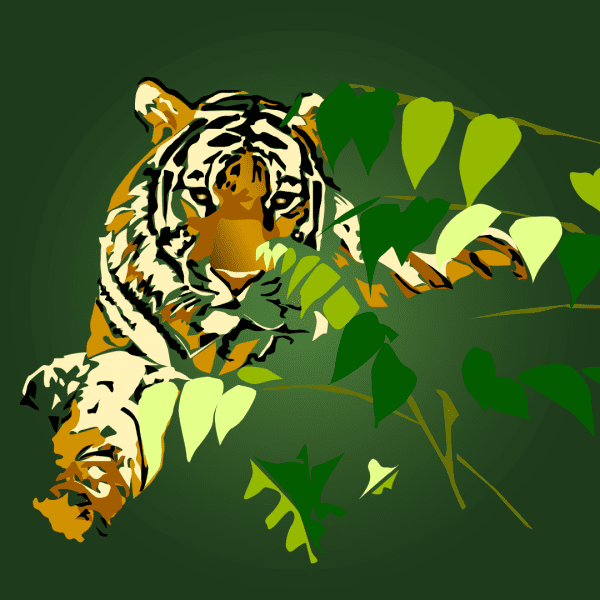 Tiger - Image 2